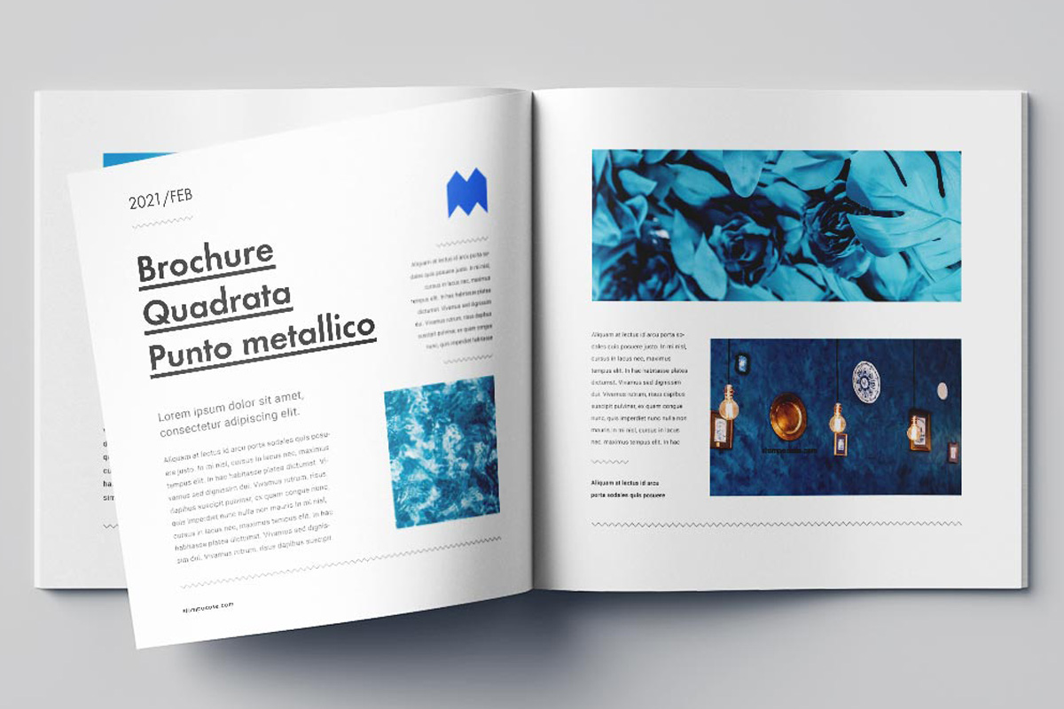 Offerta brochure di 16 pagine!